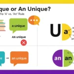 a unique or an unique