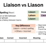 liason vs liaison